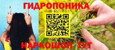 прущая мука Гусев