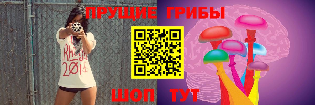 Жигулёвск  Псилоцибиновые грибы ЛСД  Вход с VPN  Галлюциногенные грибы прущие грибы 